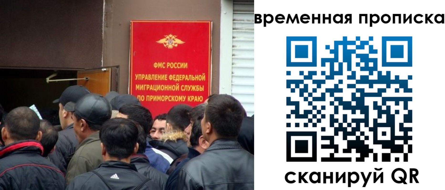 прописка поиск в Одинцово